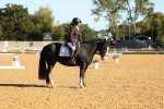 SBM_16377
