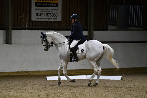 WJ5_4508