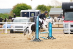SBM_004114