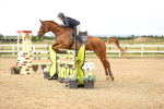 SBM_002907