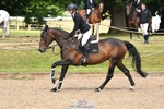 Cls 6 British Novice and 90cm Open portfolio