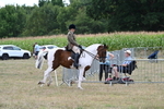 WJ7_5222