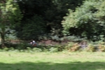 FOM_0669