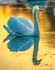 IMG_2554-Edit-2