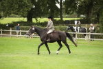 SBM_73808