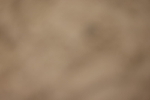20260913-0265