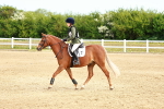 SBM_006544
