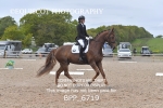 BPP_6719