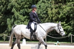 366-KILMINGTON_FOLLY-Kristina_Cook-WEDTrotUp+DR portfolio