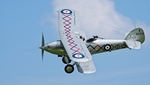 Hawker Demon