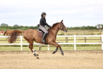 SBM_002887