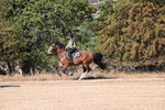 WJ6_7576