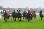 140723-Race 6-Copper Knight-0605