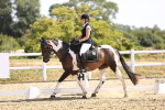 SBM_009406