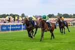 280726-Race 4-Vega King-0949