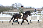 SBM_007401