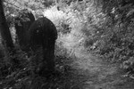 Hidden Cemetery 3