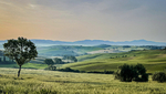 Tuscany iPhone - 22
