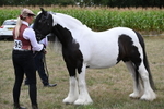 WJ6_5475