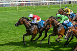 Race 3 15.12pm John Smith's City Walls Stakes portfolio