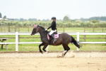 SBM_009427