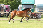 SBM_02248