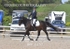 BPP_6153
