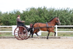 SBM_000739