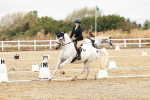 SBM_003597