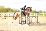 SBM_003691