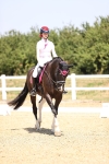 SBM_004051