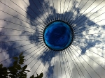 Pergola Climbing Garden