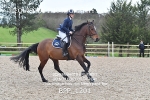 BPP_1201