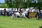 SBM_13882