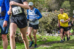 Dovedale Dash-1483