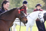 Class 31 - Leading Rein portfolio