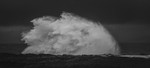 DSCF7348