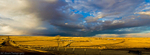 Prairiie Panorama