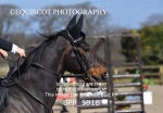 BPP_5918