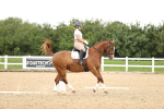SBM_001925