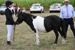 WJ6_5522