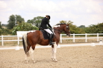 SBM_008769