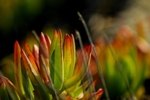 Colour Reflections