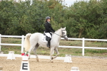 SBM_003715