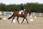 SBM_022032