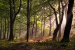 Y Wenallt - Under Milkwood
