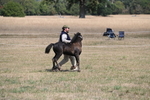 WJ6_5124