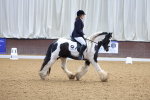 SBM_000306
