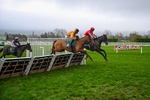151125-Race 5-Kikijo-3933