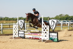 SBM_000391
